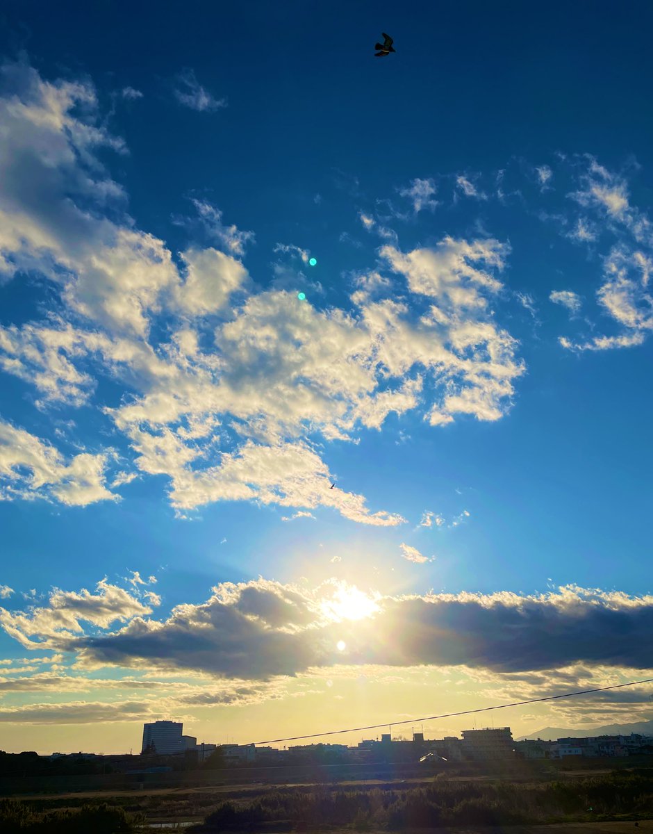 長尾哲平《Nagao Teppei》 tweet media