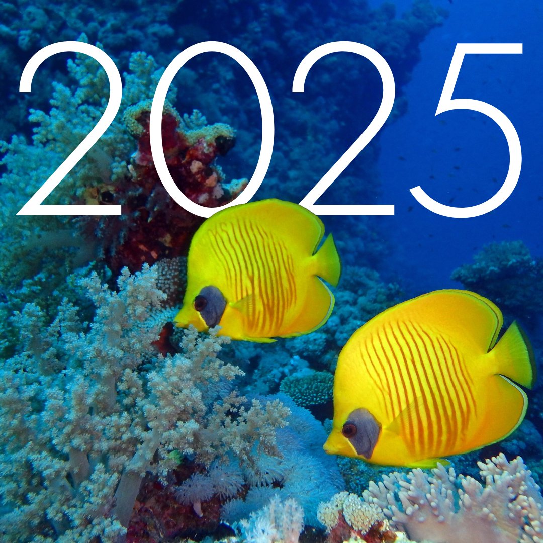 Happy New Year from all of us at Regaldive!

Make 2025 your best year yet - why not have a look at our diving holidays on our website, or chat to one of our specialists on 01353 659 999!

We will be back open tomorrow, 9am–6pm

regal-diving.co.uk