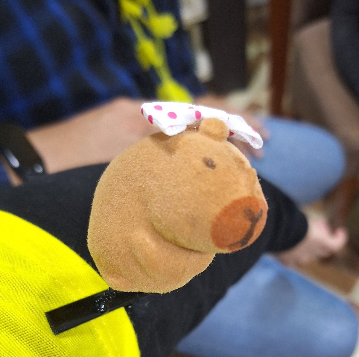 Carpi-Ñamgel les desea Feliz Año Nuevo! 🩷