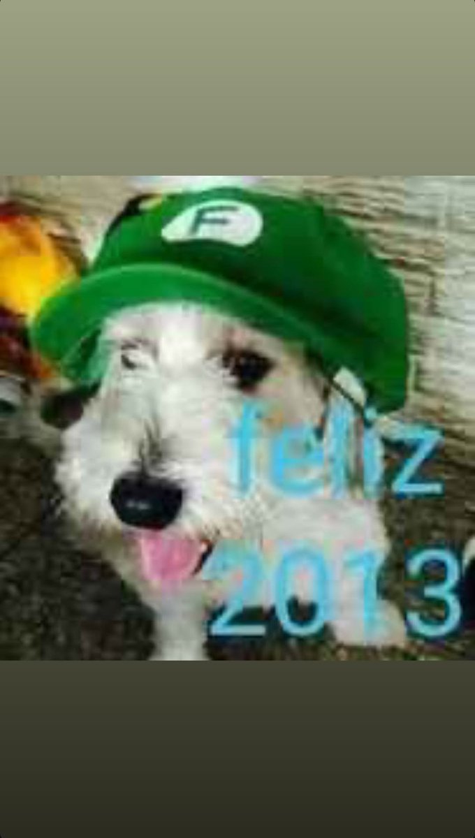 Roier English Updates tweet media