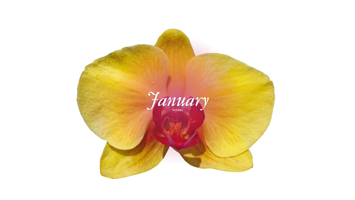 wonrika's tweet image. hello 🌼⋆.˚ january wallpapers 2025
           ⤷  desktop, iPad, iPhone / android
           ⟶ more ; gdrive (hd) below ￬
           ⟶ for personal use only.