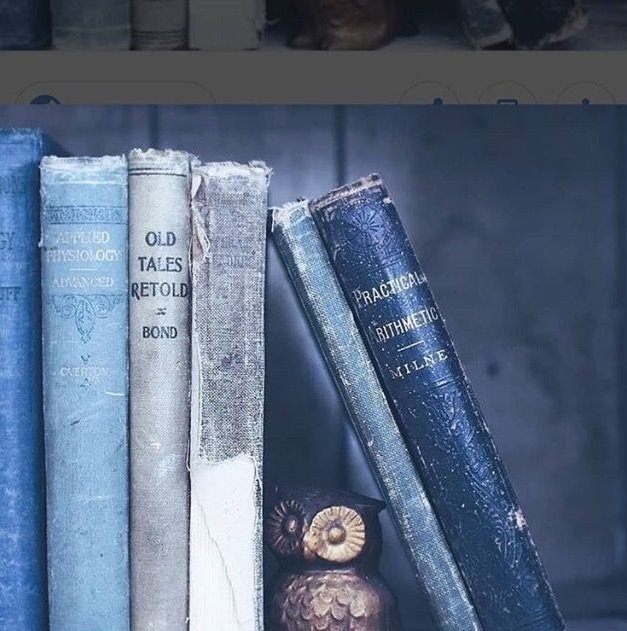 clara. #7inMelbourne tweet media