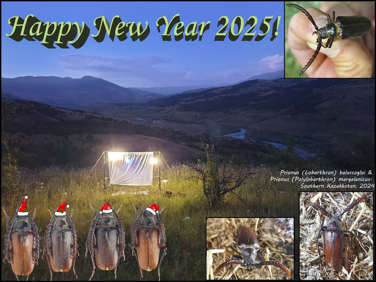 Andrey Shapovalov (@andreys27472209) on Twitter photo 