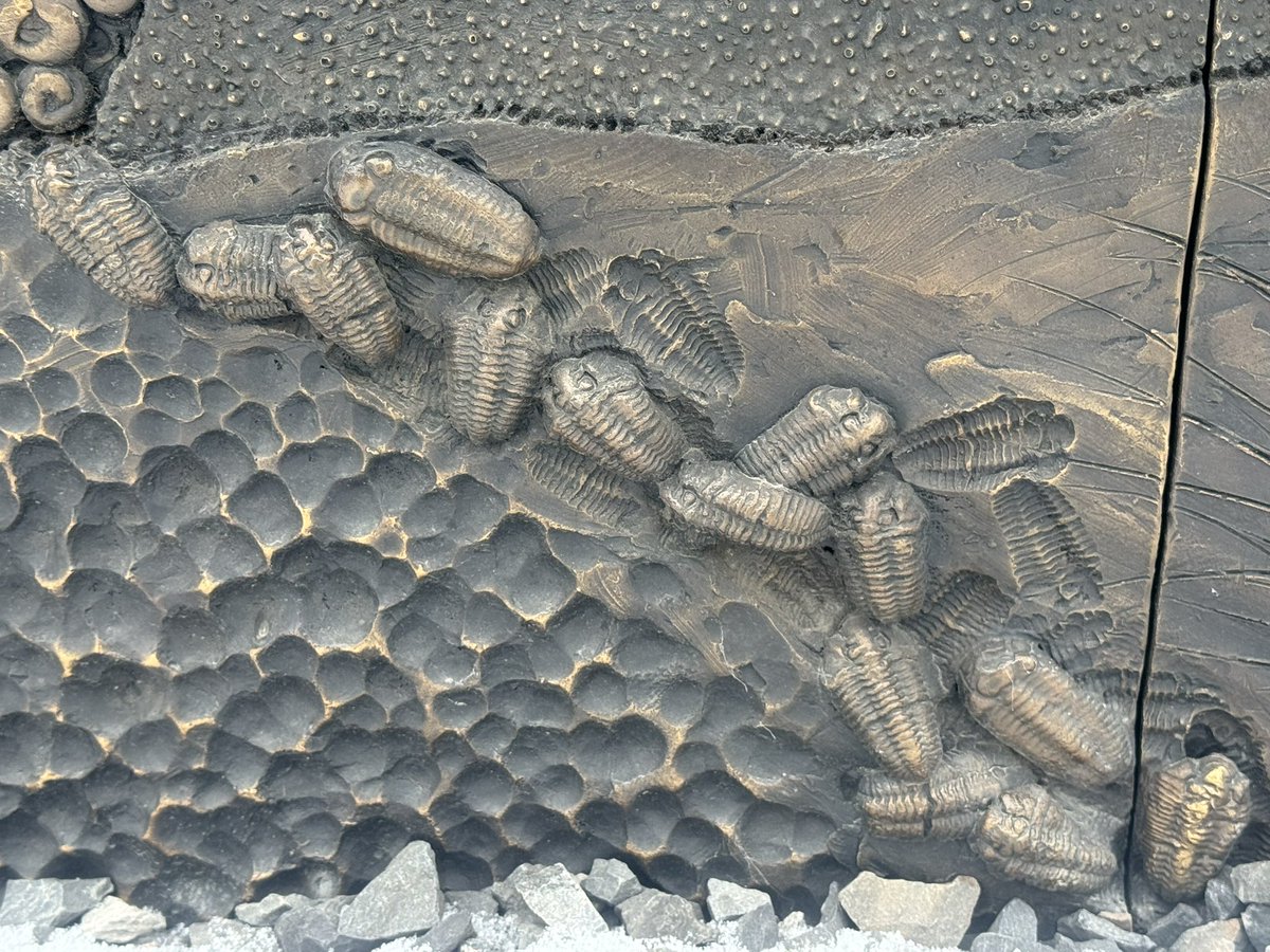 Jon Noad tweet media