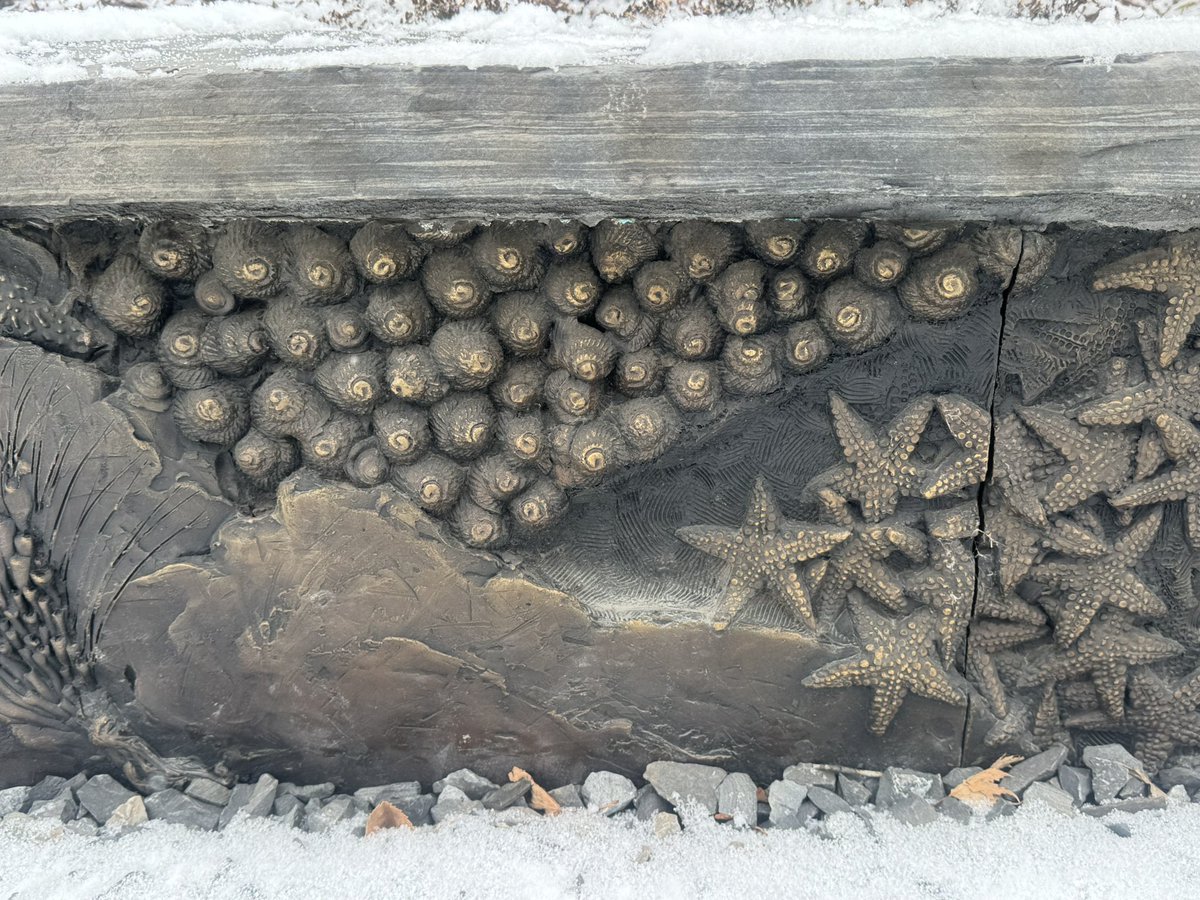 Jon Noad tweet media