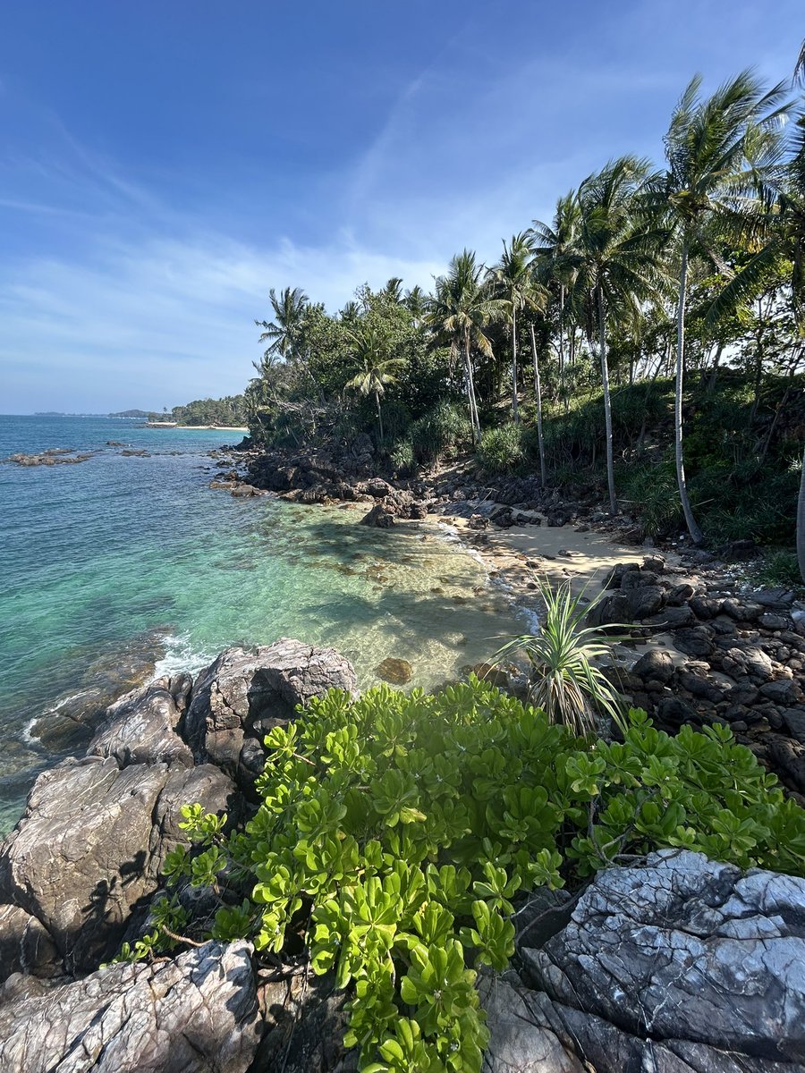 Happy New Year all ❤️Hope 2025 is a smasher