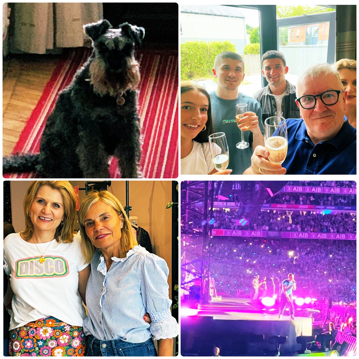 Reihillp's tweet image. 2024 Highlights
- 30th Wed Ann - key moments over the years
- 0th birthday celebrations in @macneanhouse and @HarveysPoint
- #Springsteen shows Belfast, Dublin, London
- RIP Ozzy 💔 @farnhamestate, Duchess & Marielle Wyse London and #Coldplay @ Croker