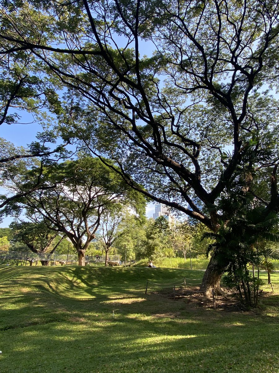 Today i walked 6 km, read books in the park and had lunch under the sun. Starting 2025 positively.