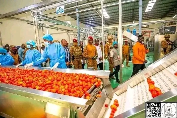 BlackPride (@vukaningcobo19) on Twitter photo Ibrahim Traore will take not only Burkina Faso out of poverty but whole of Africa, real revolutionary leader Ibrahim Traore will take not only Burkina Faso out of poverty but whole of Africa, real revolutionary leader