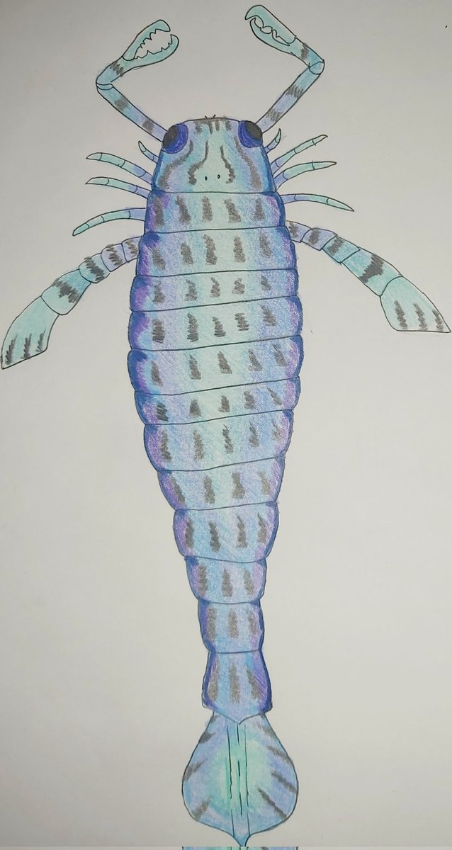 Jurassic_Fan20's tweet photo. Happy new year!!
Jaekelopterus rhenaniae
#drawing #paleoart #arthropod #chelicerata #eurypterida #pterygotioidea #pterygotidae #jaekelopterus https://t.co/JjxjFrWvxR
