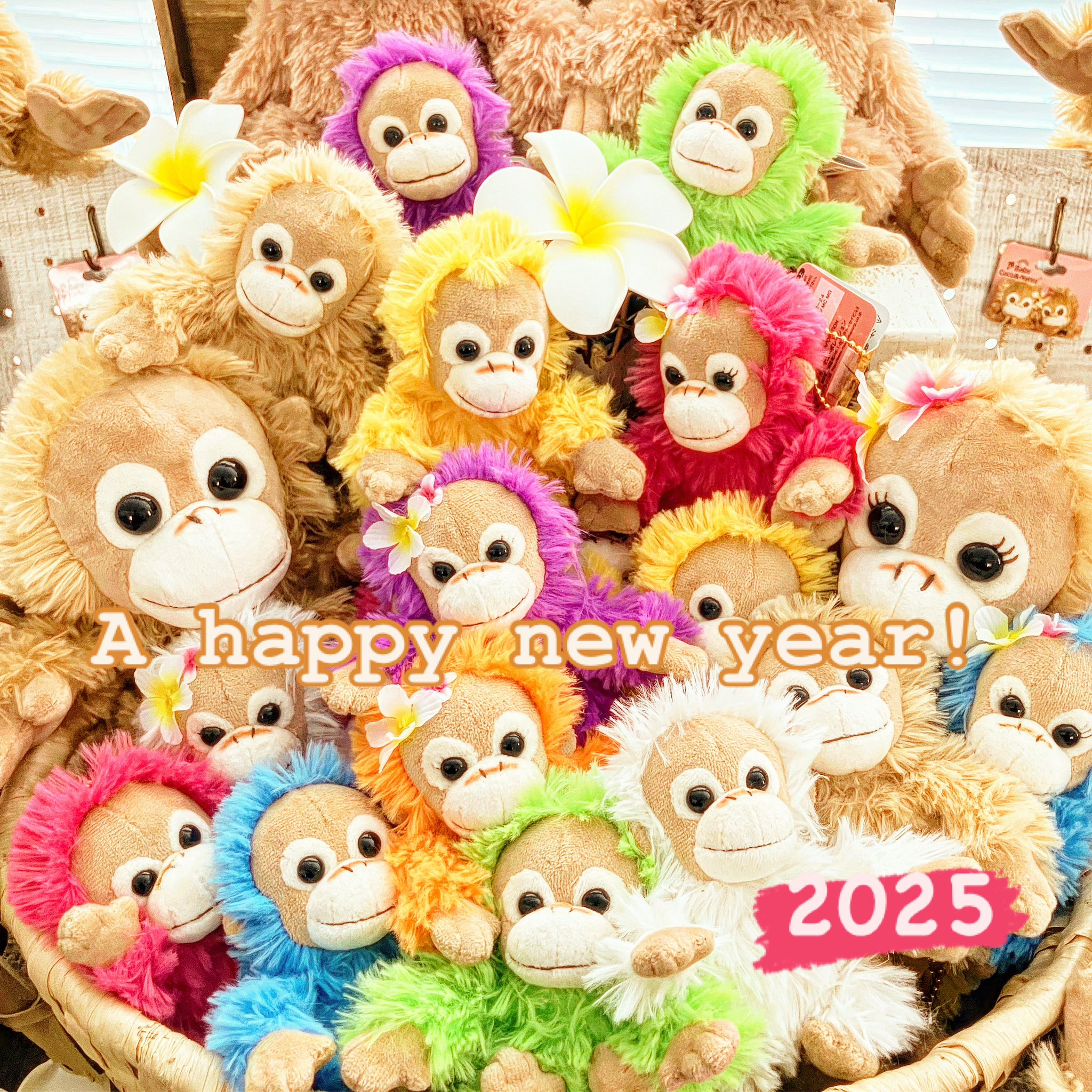 ベイビーココ&ナツ / Baby Coco & Natsu|ぬいぐるみ本体 ベイビーココ&ナツ / Baby Coco & Natsu|ぬいぐるみ本体