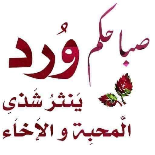 ℓαℓнιαℓ𓆩الخيال𓆪 tweet media
