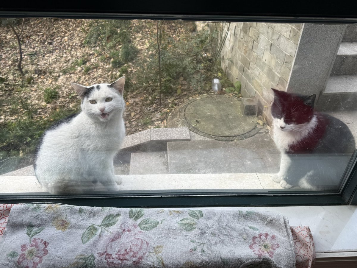 黄推福利内容 - Chiiuromika的精彩图片 福利姬Chiiuromika分享的黄推图片3 - 网红私拍内容