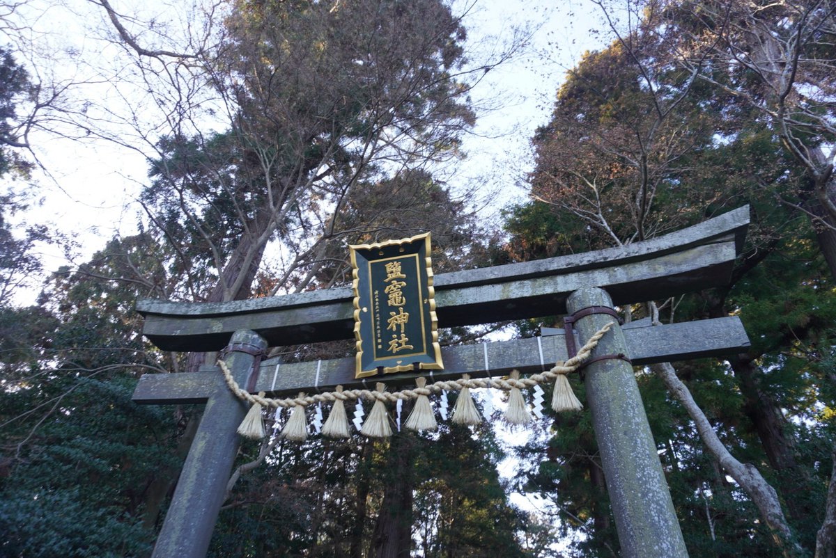 NORAICHI0417's tweet photo. 迎春。 https://t.co/c2zW6Iub4S