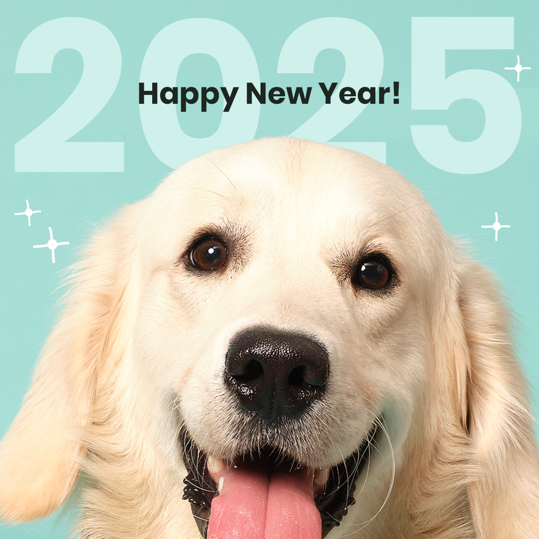 Happy New Year!

We hope your 2025 is filled with cosy cuddles, tasty treatos and wonderful walkies 💜

#PoochAndMutt #Dog #DogFood #DogTreats #HealthyDogTreats