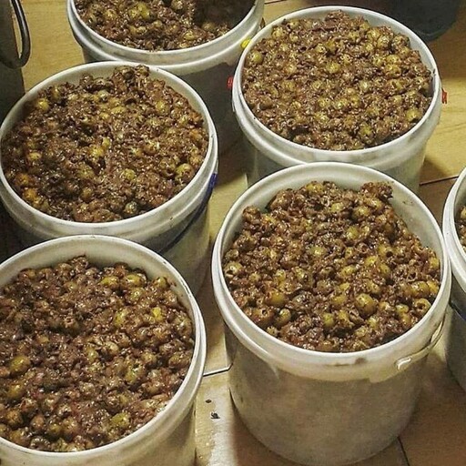 میتونم همه شو تو یه روز بخورم🥲کسی هم هست دوسش نداشته باشه؟؟