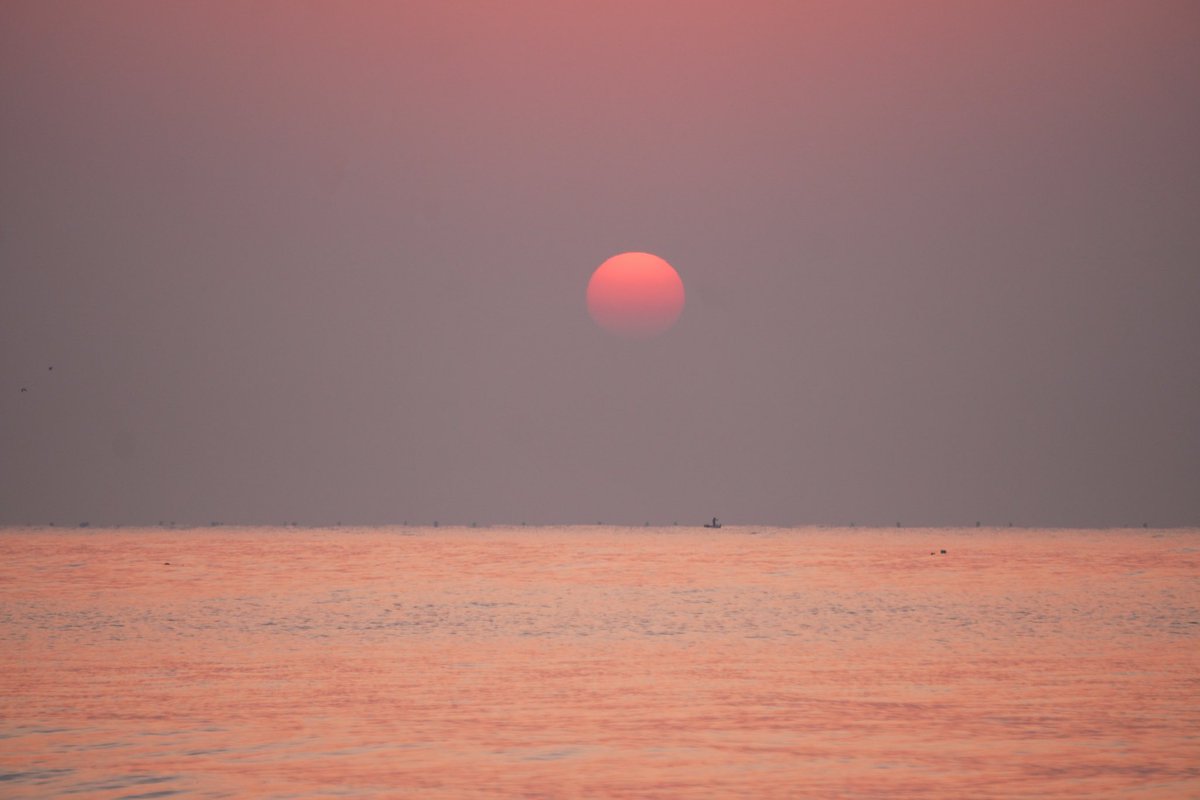 碰碰凉 tweet media