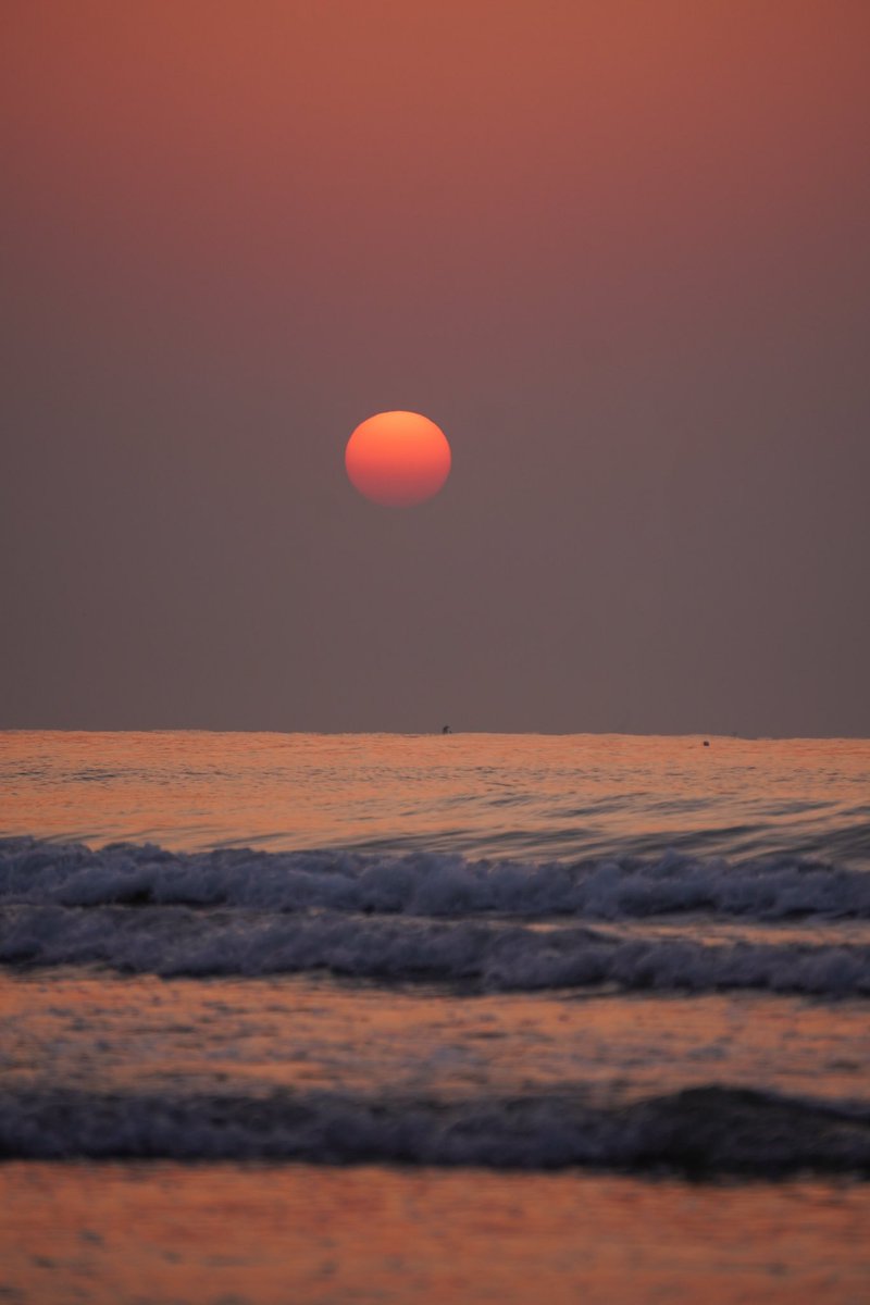 碰碰凉 tweet media