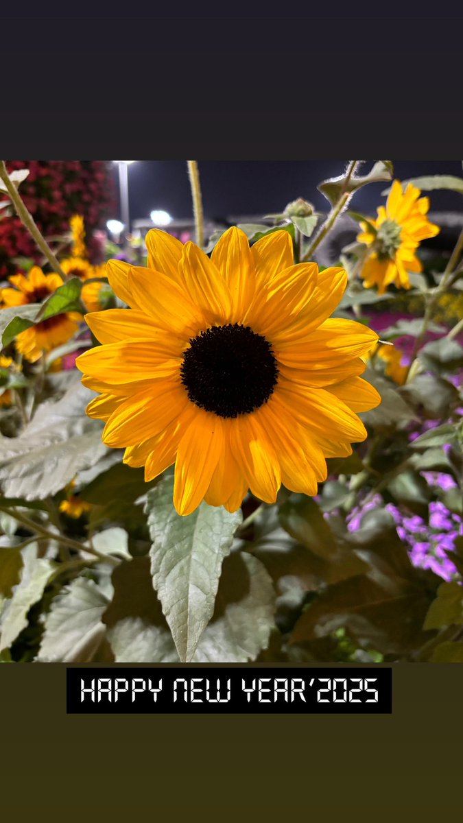 Emani B V Kumar tweet media