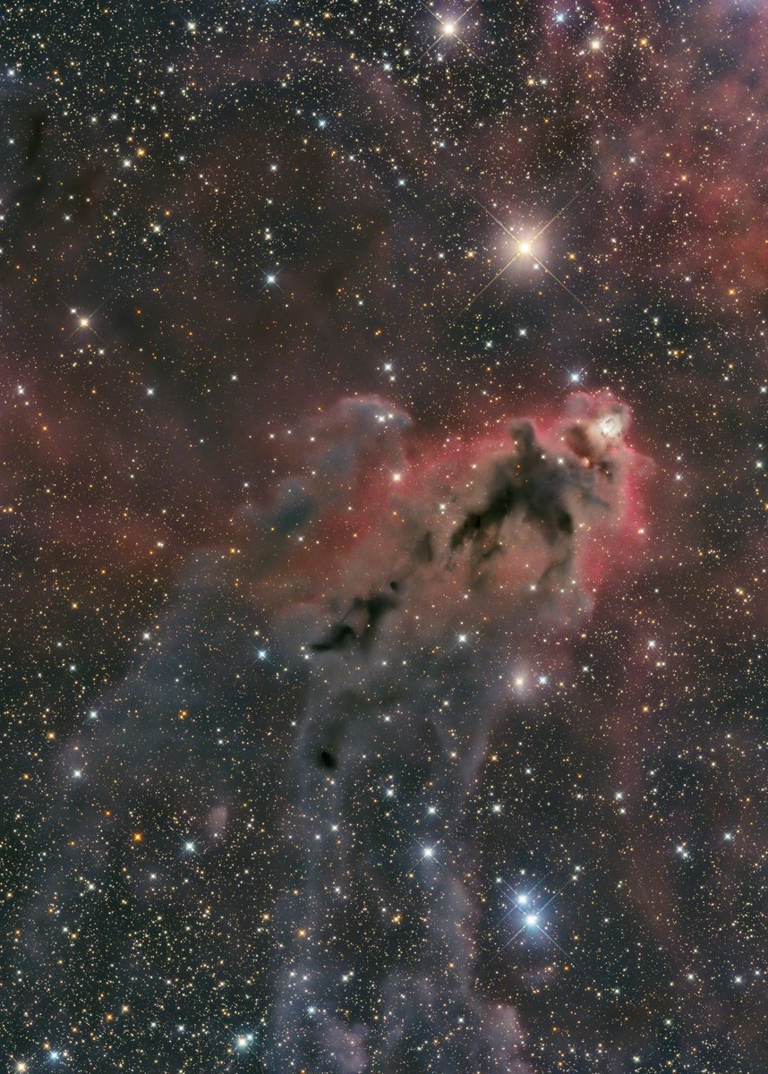 オリオン座のLDN1622。

去年の撮り納めはコレでした🔭
お化けのような形の暗黒星雲👻

ε-130Dのファーストライトでもありました。
淡くて無謀でしたが、スパイダーの光条のキレに満足したのでヨシ！👈️

※北を左にしています。

2024.12.29
@岩手県山田町

詳細ALT