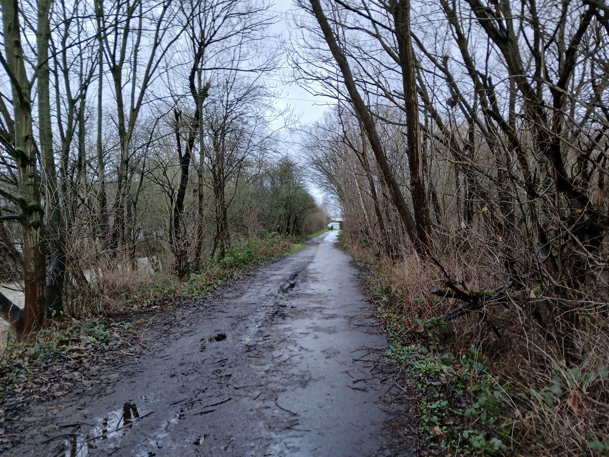 paulcli's tweet image. A very easy 5.5 miles this morning at 11:03 pace :)