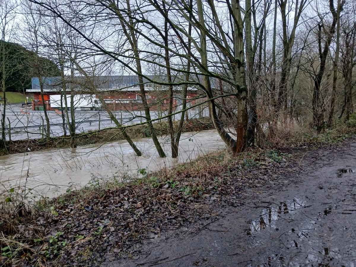 A very easy 5.5 miles this morning at 11:03 pace :)