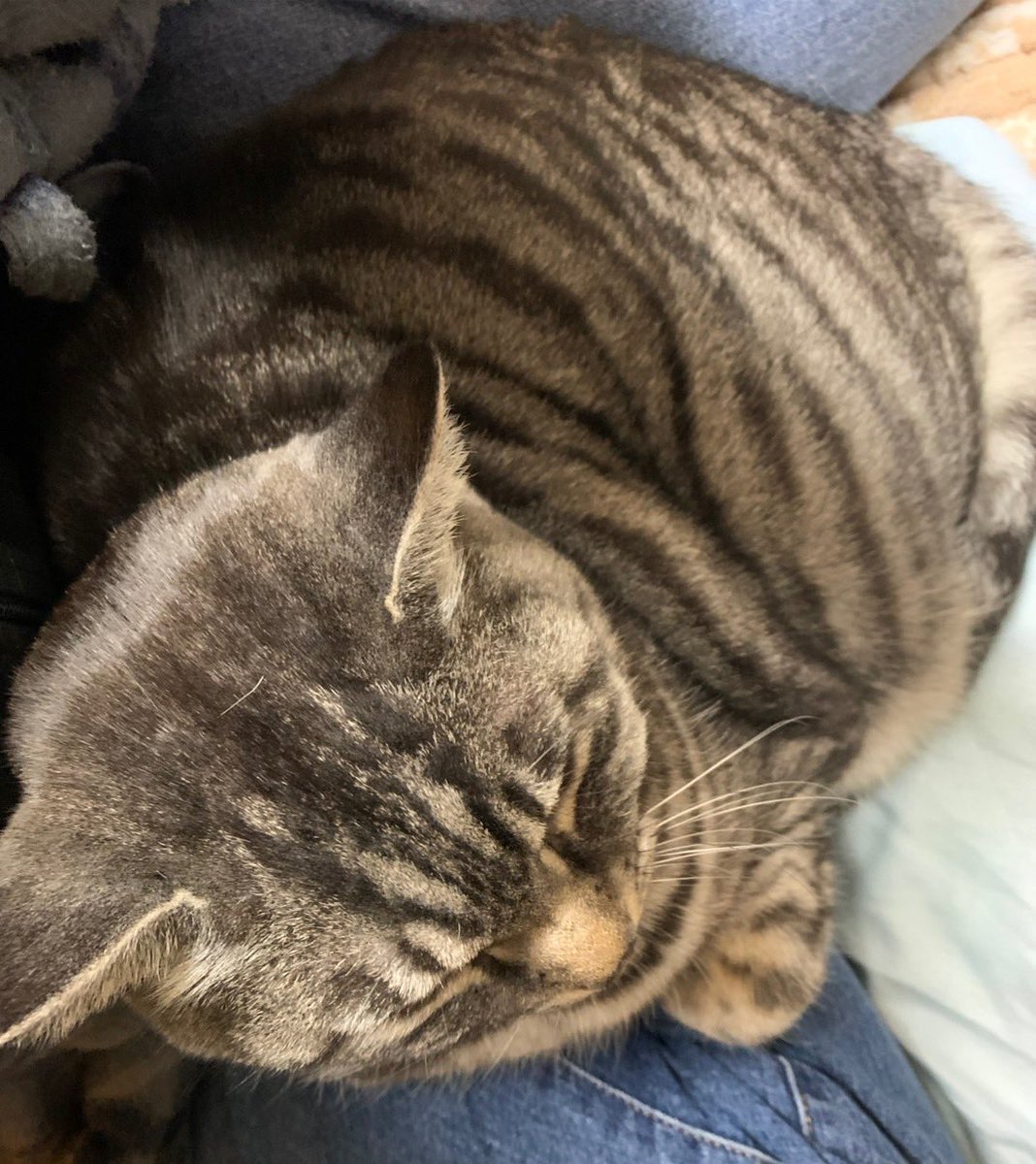 明けましておめでとうございます。
癒されています。