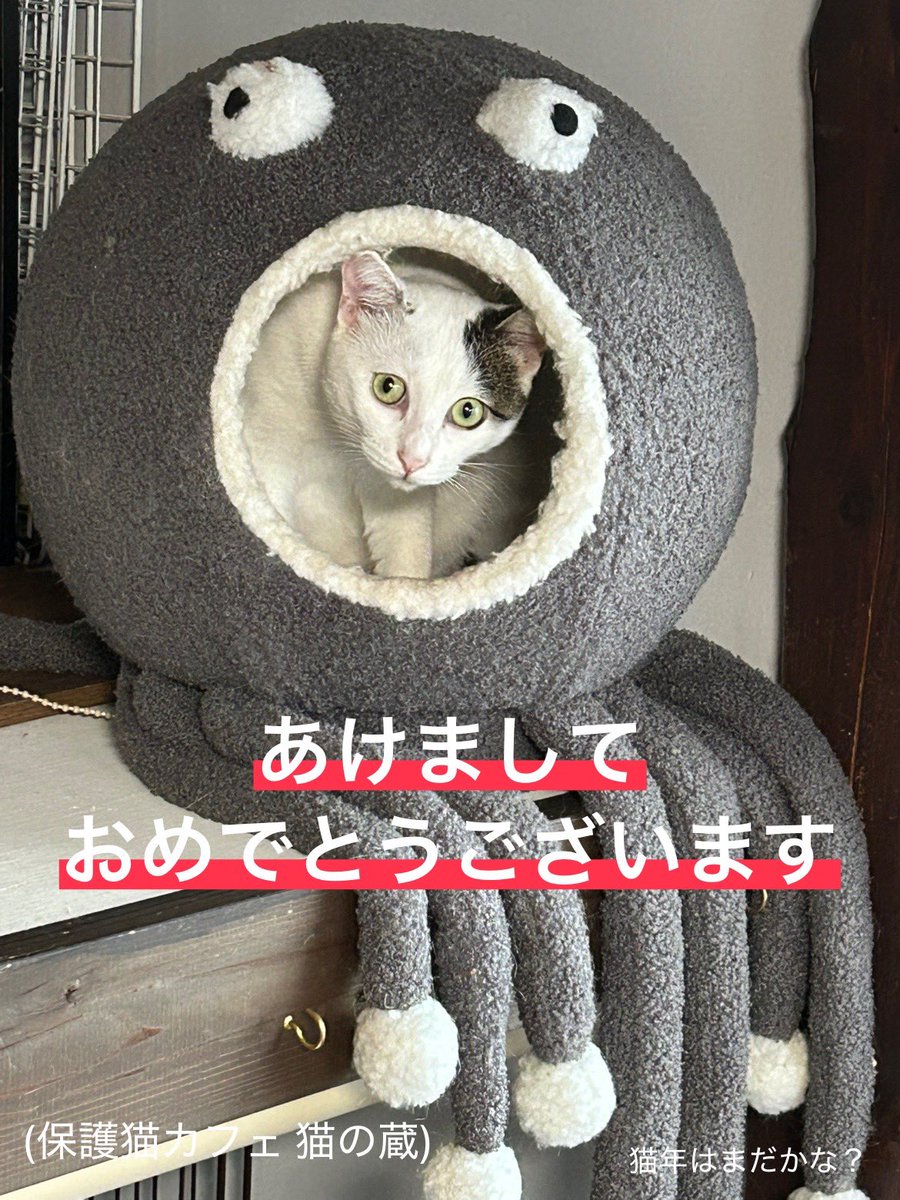 ena_sola's tweet photo. @midorigamek 明けましておめでとうございます🎍
本年もよろしくお願いいたします。 https://t.co/5jSRrb9xbA