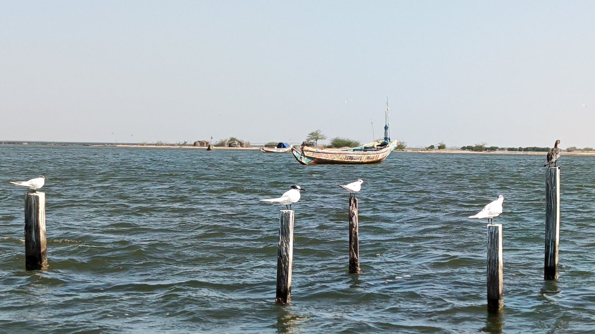 "Less is More" En prenant de l'âge, ce concept prend tout son sens. Voici mes outils favoris pour simplifier la vie en 2025 🎉 :

1️⃣. Outils de chat : Pour planifier et aider à la réflexion. Mon top 3 : Claude, Bing, ChatGPT. 🗣️