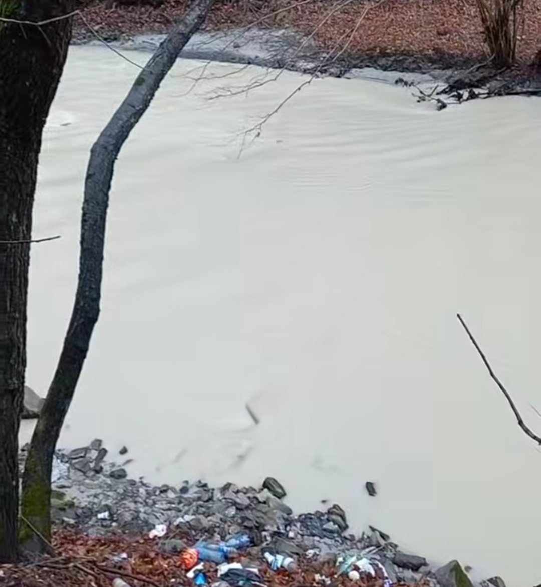 Reka Pek ovoga jutra...
SVIMA ODGOVORNIMA ZA OVO UNIŠTAVANJE SRBIJE DATI DA JE PIJU.
☠️☠️☠️☠️☠️☠️☠️☠️🪓