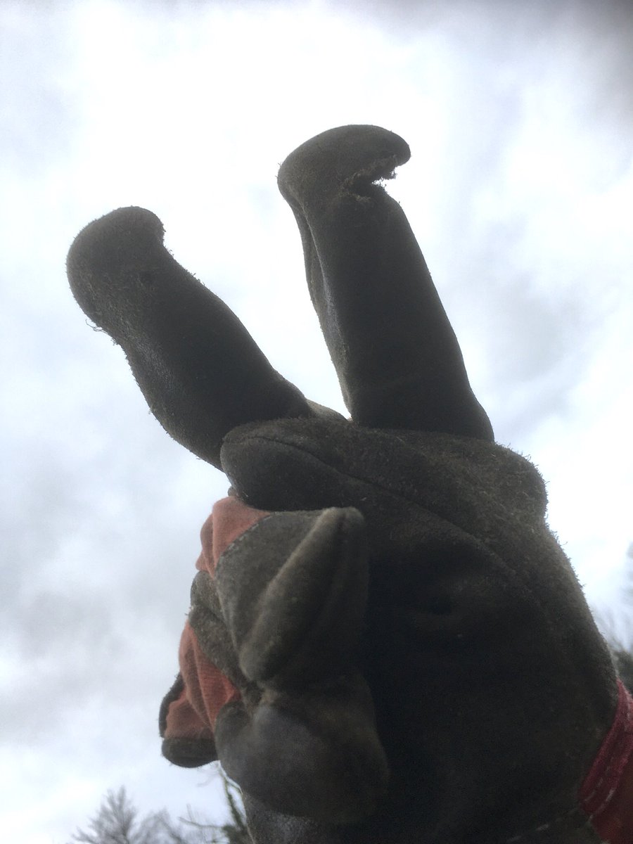 Goodbye ‘24 
Hello ‘25
Happy New Year!