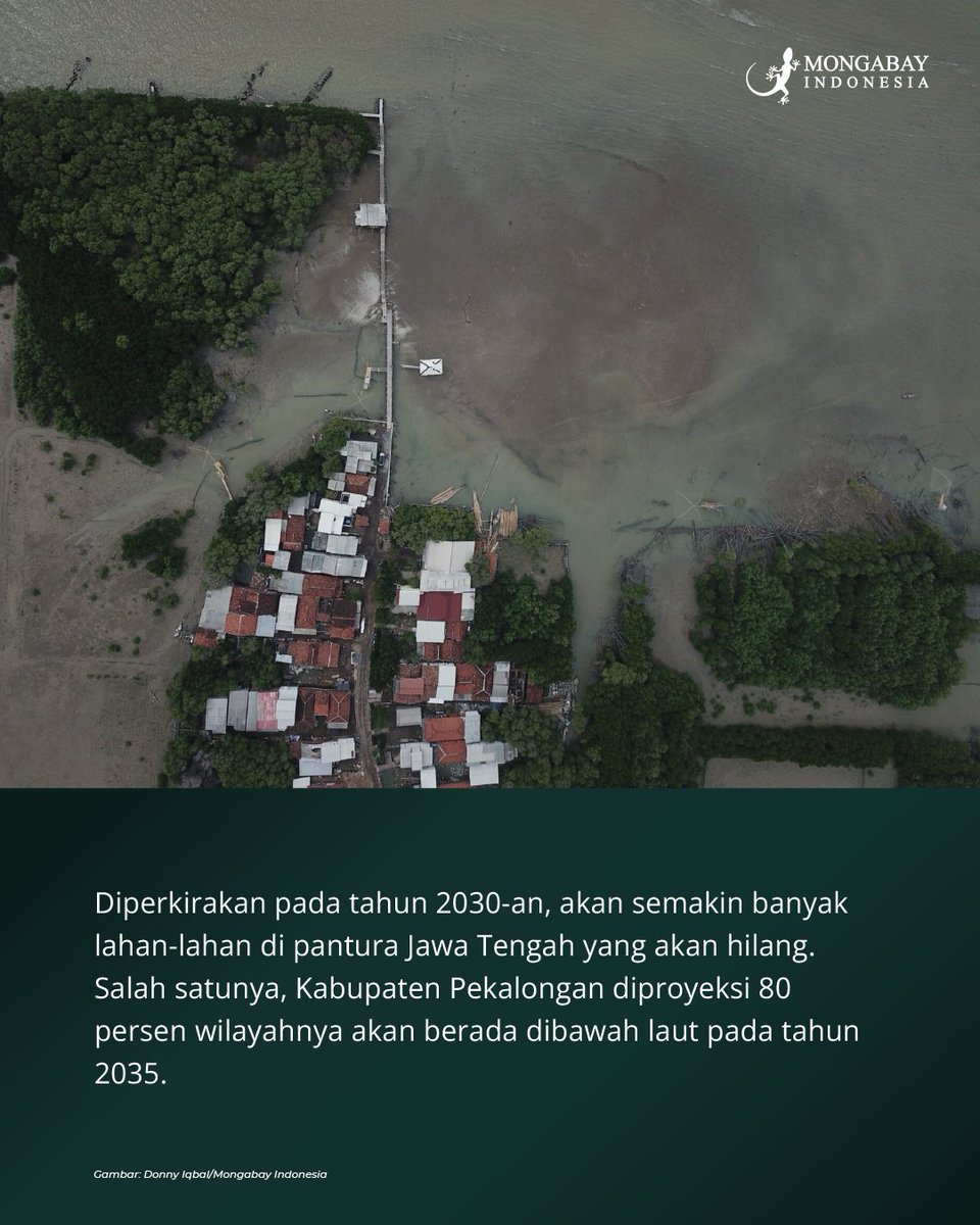 Mongabay Indonesia tweet media