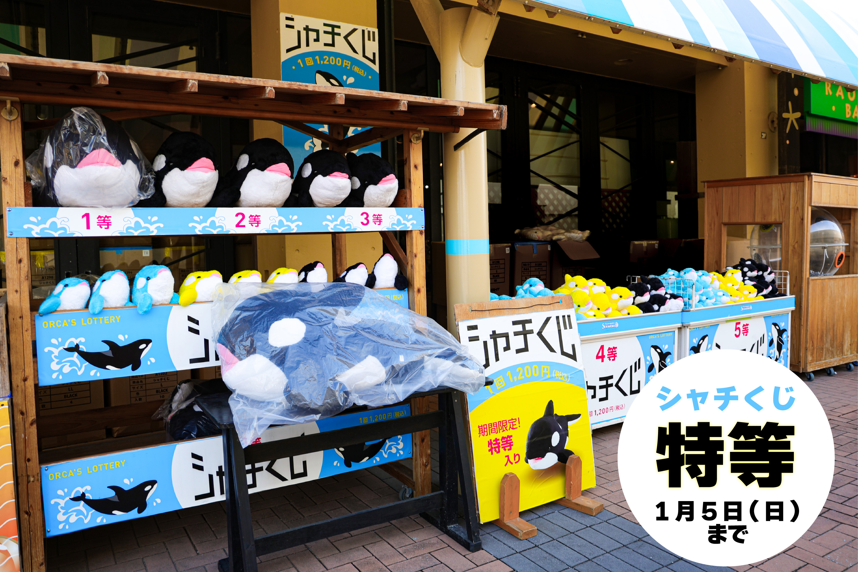 〖エコメルカリ便希望〗鴨川シーワールド・くじ・シャチ・1等 エコメルカリ便希望〗鴨川シーワールド・くじ・シャチ・1等