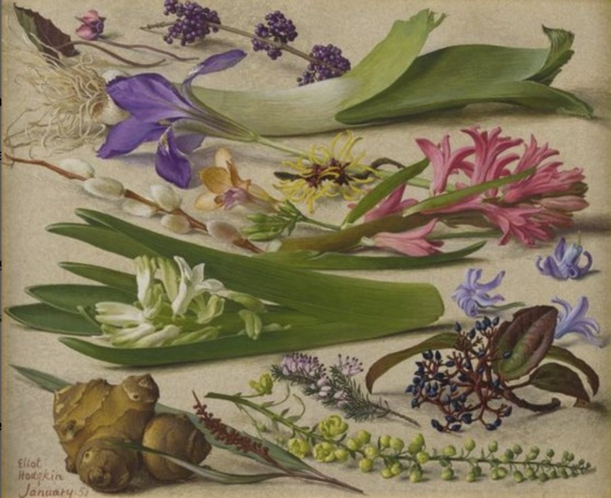 Wishing you a happy, healthy and peaceful 2025 and a year full of gardening enjoyment.

Eliot Hodgkin, 'January', from 'The Months', 1950.