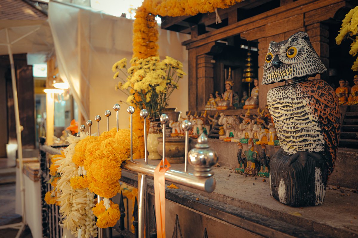 charliehtennis's tweet photo. 【Chiang Mai】

ワンニマン
Onenimman

#チェンマイ #chiangmai #ワンニマン #Onenimman #散歩 #walking #カメラ #camera #写真 #photo #旅行 #travel #lumixs9 https://t.co/o0GRsevpFD