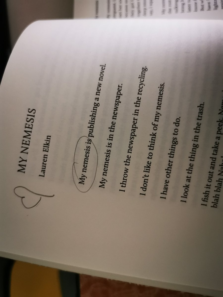SofieDeSm's tweet photo. 2024 was great for reading: fell in love with @LaurenElkin  's writing (Scaffolding + My Nemesis in @WinterPapers = everything), enjoyed new books by old favorites, and found a new crime series to devour thank you @janecaseyauthor. Also: that opening page! damn Clarice! Onwards. https://t.co/WucNqfXPUy