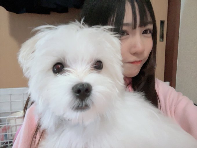 Twitterのコスプレ画像19