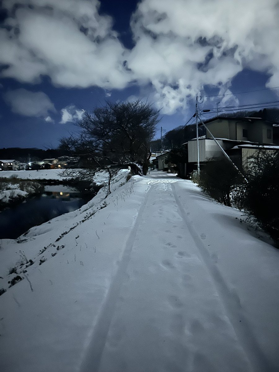 野球部時代、監督に「雪国で練習するメリットを考えろ」と言われ、「根性」としか答えられなかった。
帰省して雪上ランニングを改めてやってみると、足関節ではなく動的バランスでより必要な股関節戦略が求められると実感。股関節周囲筋がより鍛えられる感じがする。
#ランニングコース #熊目撃多発