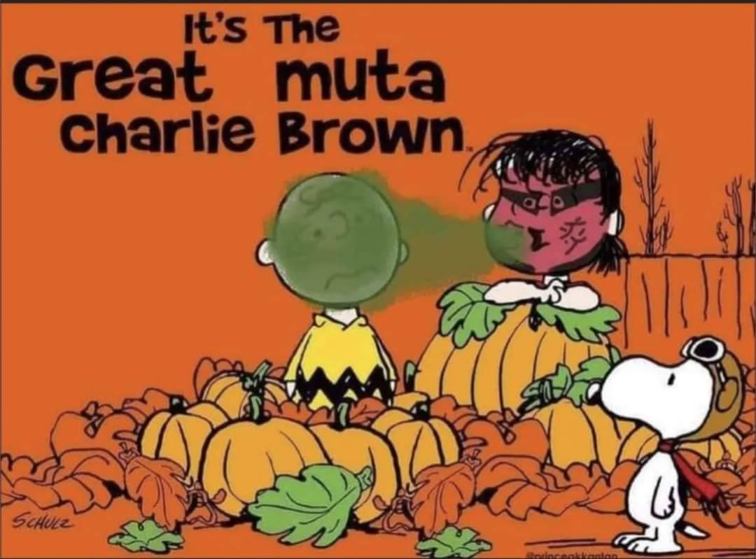 allan_cheapshot's tweet image. 