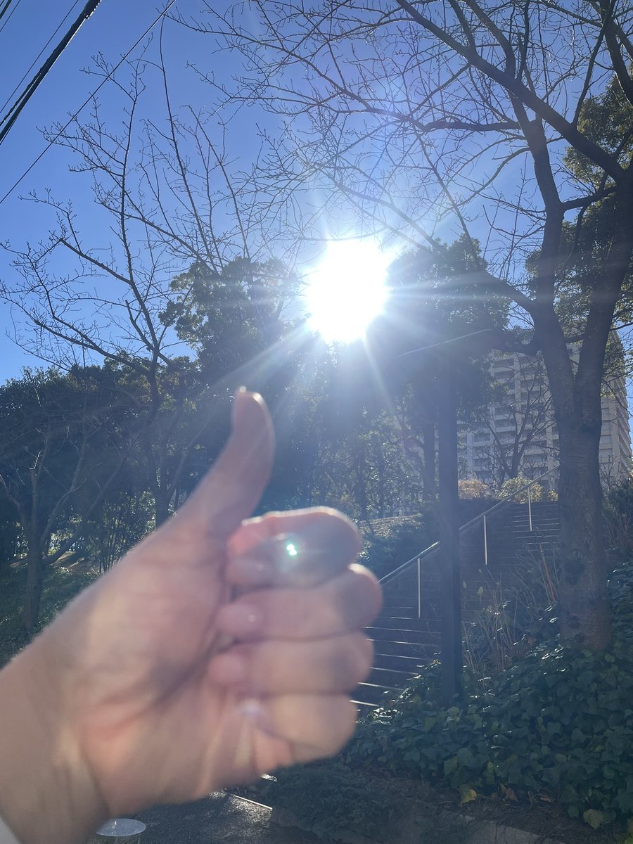 megpippi's tweet photo. @DOBYAO 今年も最強運にあやかります👍 https://t.co/b0hMVqaSnQ