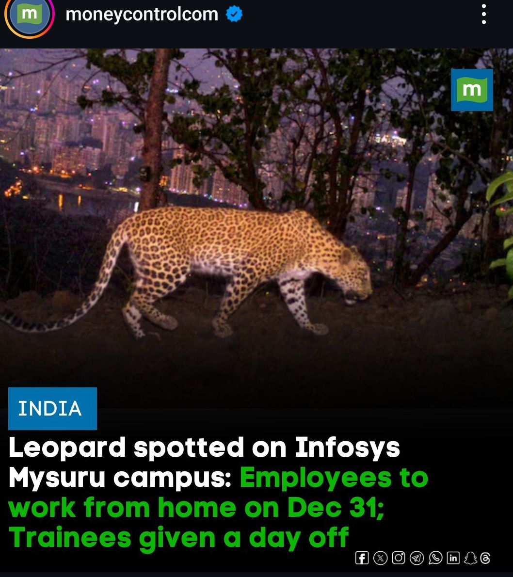 Imran65462682's tweet photo. Leopard would have smelled the blood &amp; sweat of people working 70hr/week.

Happy New Year #NewBeginnings
#HappyNewYear2025 https://t.co/MIc7p40LXo
