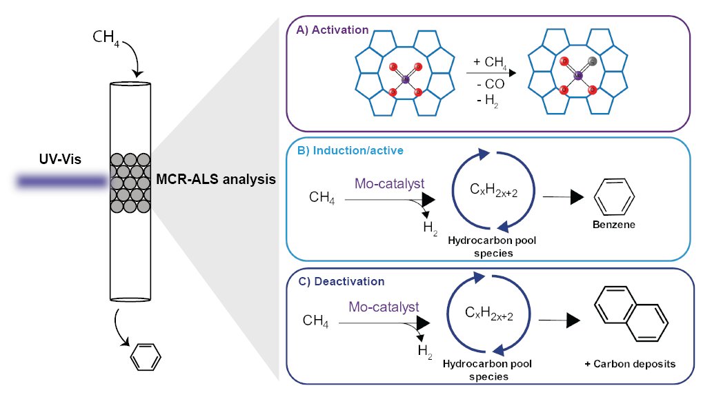 BertWeckhuysen tweet media