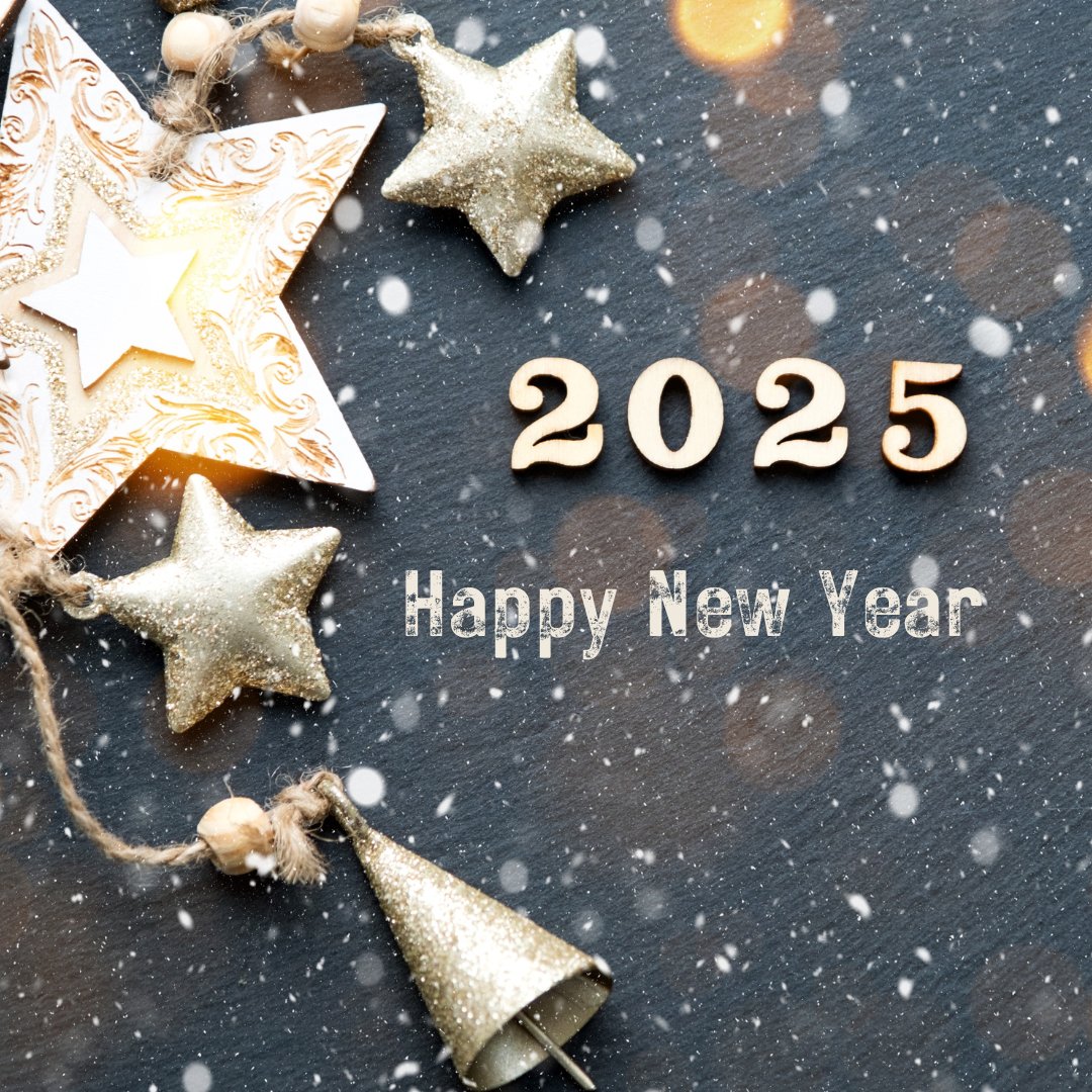 Maynoothalumni's tweet photo. Wishing all MU alumni a very Happy New Year. Here's the 2025! 🍾 ✨ #MadeInMaynooth #MaynoothUniversity #2025 #HappyNewYear https://t.co/rnRPpS89BC