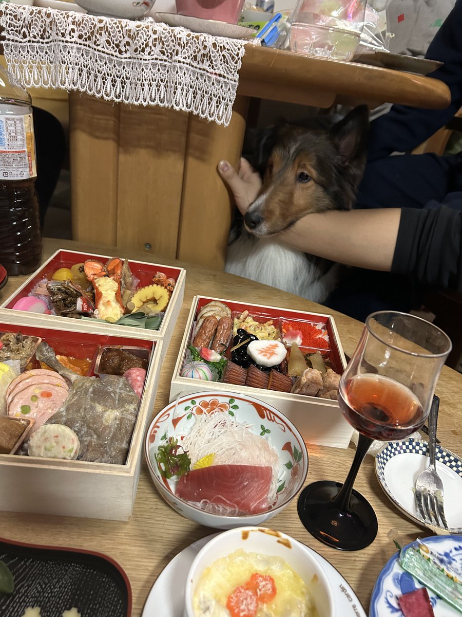 お肉泥棒して怒られいぬ。今年もよろしくお願いします🙇