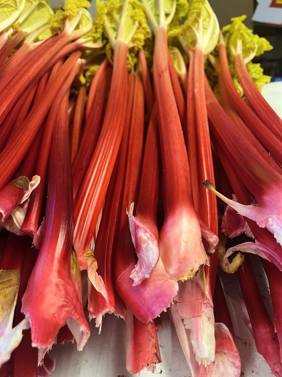 1st day of the year 1st day of the season HAPPY NEW YEAR 🥳