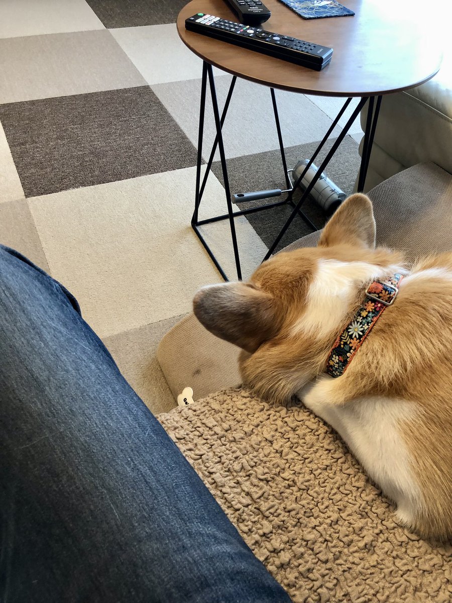 boutsu08's tweet image. あけましておめでとうございます。今年もよろしくお願いします！