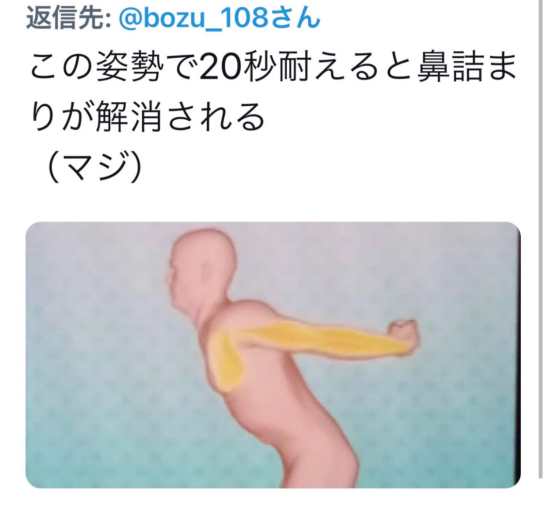 坊主 tweet media