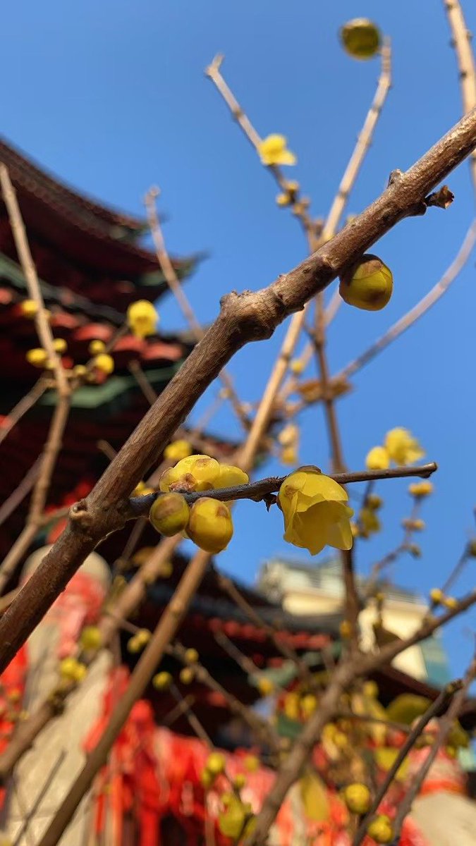 別了2024！願我家人朋友幸福安康