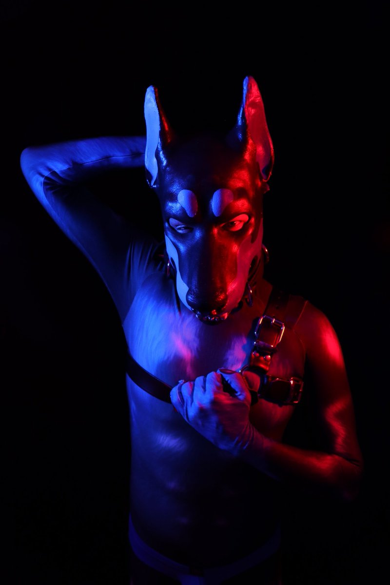 Cobalt_AD's tweet photo. Happy New Year!  💙 

Hope 2025 is good for all of us ^ω^ https://t.co/F3sdTuxXnM