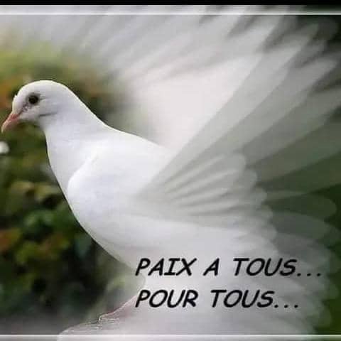 Alors que les défis entravent parfois  l'atteinte de nos objectifs, nous devons célébrer nos victoires et  réaffirmer notre engagement pour les  communautés cibles de nos actions. 

2025 sera l'année de tous les challenges et nous devons changer la donne !
#HappyNewYear2025